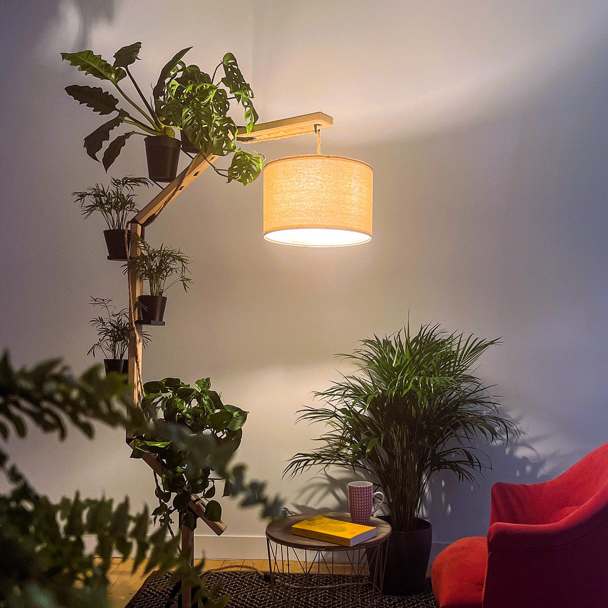 Kit plante et supports livres/tasses