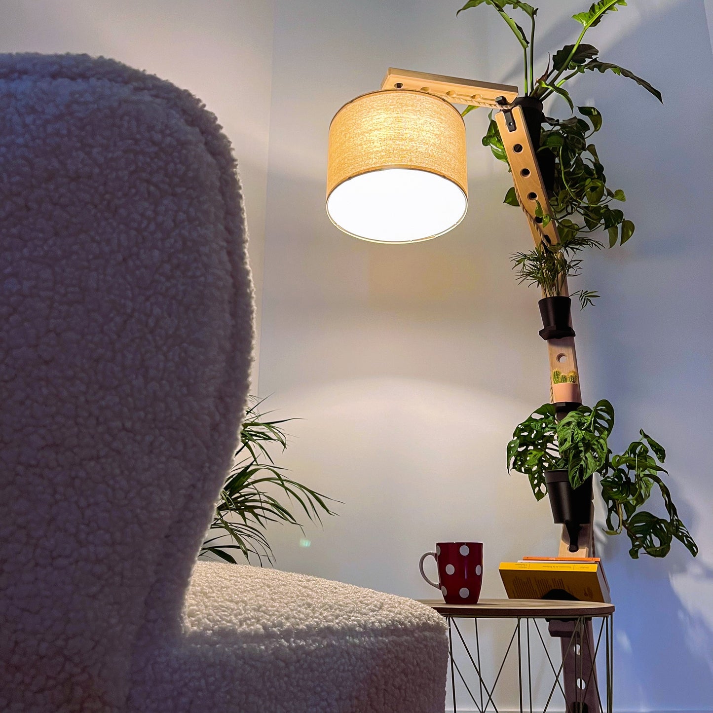 Kit plante et supports livres/tasses