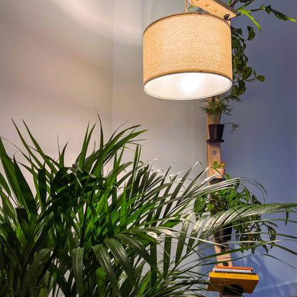 Kit plante et supports livres/tasses